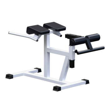 Профессиональный силовой тренажер Гиперэкстензия Sabirgym SG027 - Аэрофитмаксфит профессиональные тренажеры в фитнес клуб