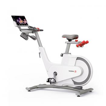 Велотренажер YESOUL Smart Spinning bike V1 белый V1 WHITE спин-байк sportsman - Аэрофитмаксфит профессиональные тренажеры в фитнес клуб