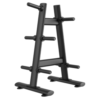 Стойка для дисков MAXGYM ZH41 профессиональная vasil - Аэрофитмаксфит профессиональные тренажеры в фитнес клуб