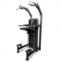   100  BRONZE GYM PARTNER ML-823  vasil -      