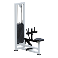 ���������������� ������� �������� ������ ������ ���� Sabirgym SG022.3 ���� 100 �� vasil - �������������� ���������������� ��������� � ������ ����