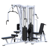 ���������������� ������� �������� ������������� ������� Sabirgym SG097�4�100 ����� 4�100 �� ironking - �������������� ���������������� ��������� � ������ ����