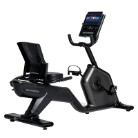  Schwinn 590R  -      